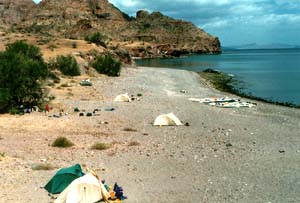 playa_camp picture